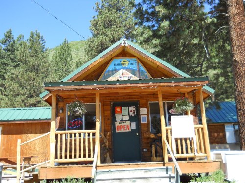 A rustic wooden café with a green metal roof, featuring an "Open" sign and surrounded by trees.