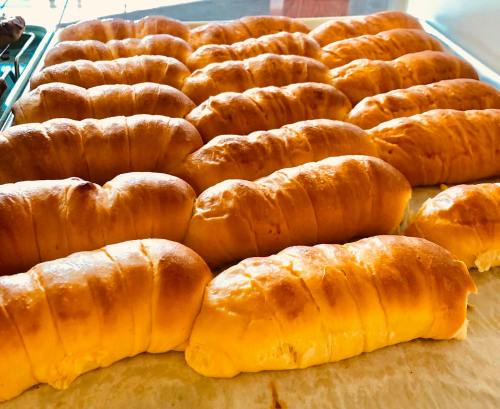 A tray of freshly baked golden-brown bread rolls arranged in neat rows.