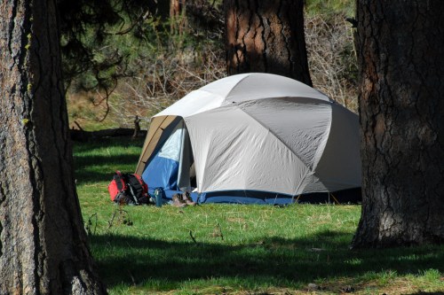 A tent set up in a grassy area surrounded by tall trees, with a backpack nearby.
