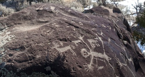 Petroglyphs carved into a large rock, depicting abstract figures and animals in a natural landscape.