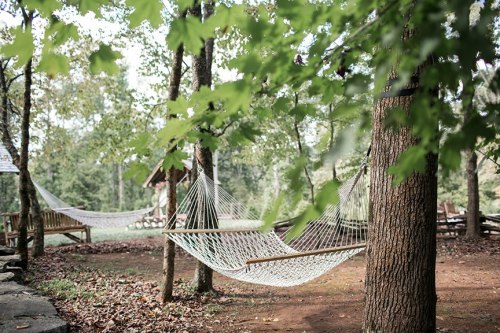 Two hammocks are strung between trees in a serene outdoor setting, surrounded by green leaves and a peaceful atmosphere.