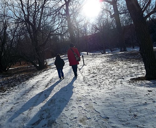 A person and a child walk on a snowy path, with trees and sunlight in the background. Shadows stretch behind them.