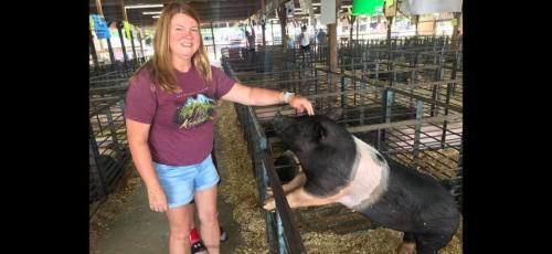 A woman in a maroon shirt pets a pig in a barn filled with animal pens.