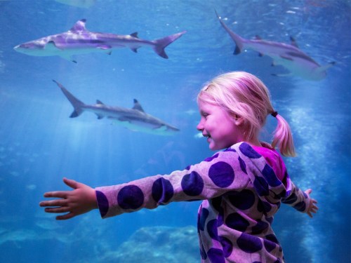 A young girl with blonde hair smiles and stretches her arms in front of an aquarium, with sharks swimming in the background.