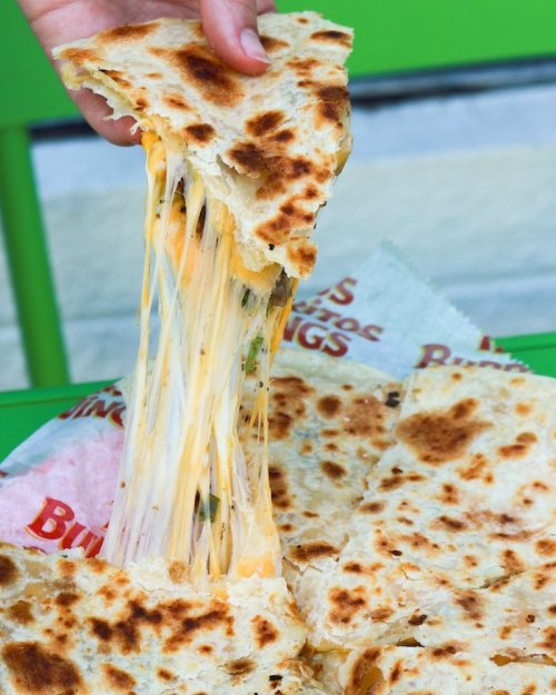 A hand pulls apart a cheesy quesadilla, showcasing gooey melted cheese and crispy edges on a vibrant green background.