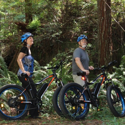 Two cyclists in helmets stand beside their electric bikes in a lush, green forest.