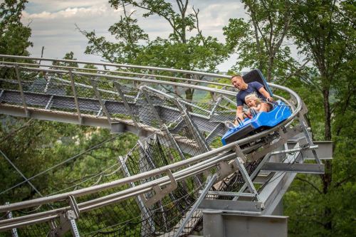 A man and a child enjoy a thrilling ride on a blue roller coaster, surrounded by trees and a cloudy sky.