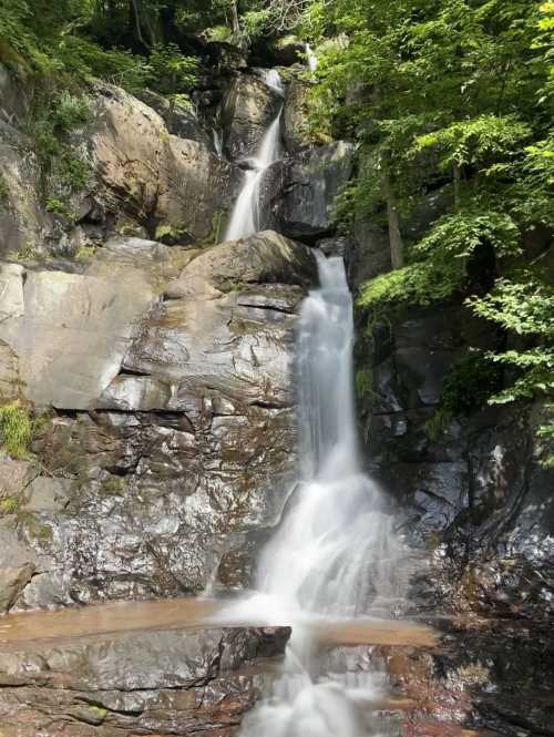 A serene waterfall cascading down rocky cliffs, surrounded by lush green foliage.