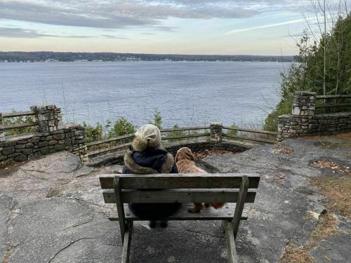 A person sits on a bench with a dog, overlooking a calm lake and distant hills under a cloudy sky.