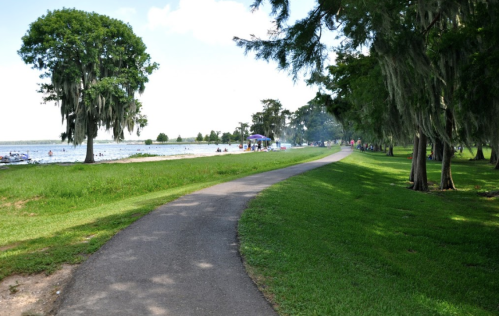 A scenic park path lined with trees, leading to a lake with people enjoying the outdoors on a sunny day.