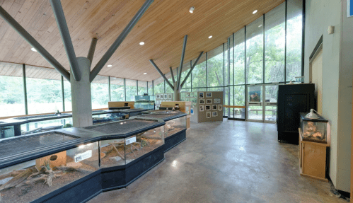 Interior of a modern wildlife exhibit featuring glass enclosures, wooden beams, and large windows overlooking greenery.