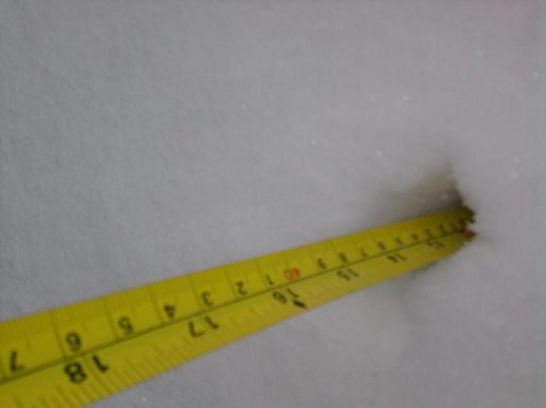 A measuring tape is partially buried in snow, indicating the depth of the snow.