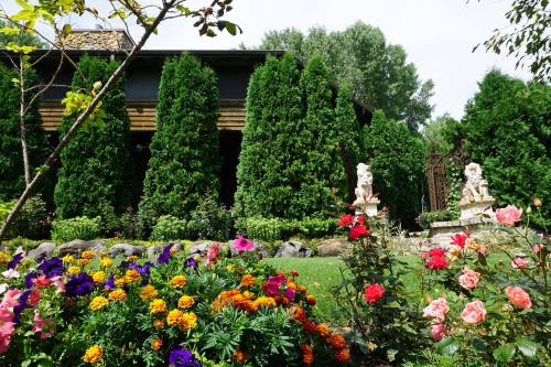 Lush garden with colorful flowers in the foreground, tall green hedges, and a house in the background.