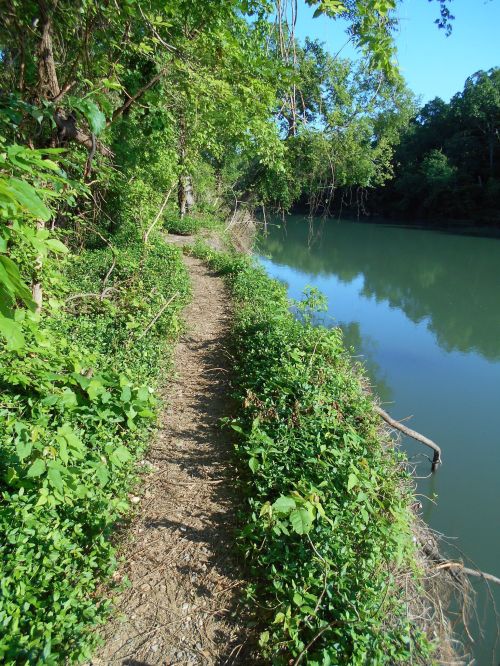 A narrow dirt path lined with greenery runs alongside a calm, reflective river under a clear blue sky.