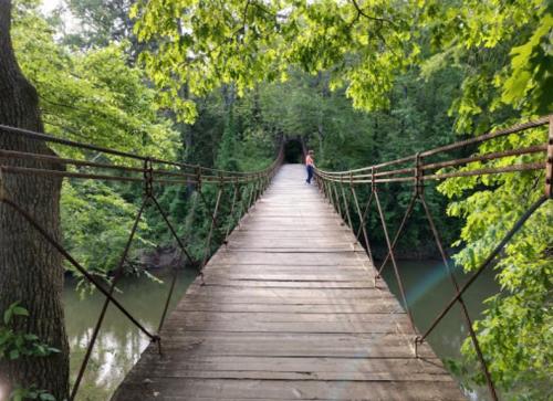 A wooden suspension bridge surrounded by lush green trees, leading into a forested area.