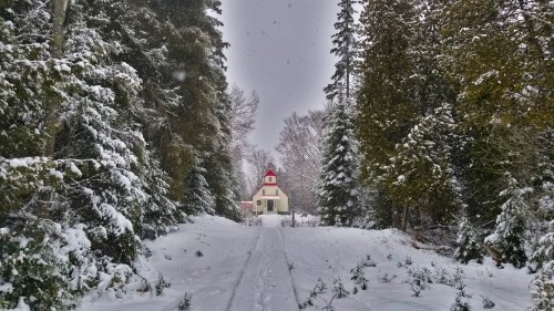 A snowy path leads to a small white building with a red roof, surrounded by tall evergreen trees. Snow is gently falling.