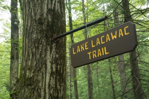 A wooden sign hanging from a tree reads "Lake Lacawac Trail" in a lush, green forest.