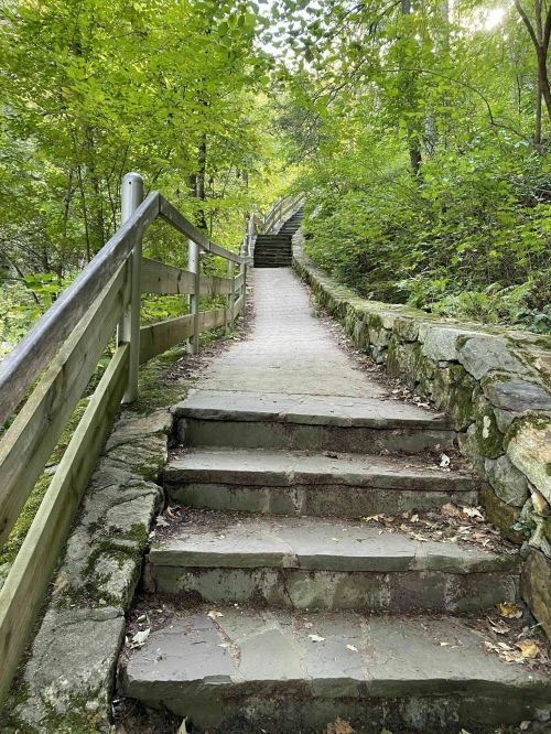 Stone steps lead up through a lush green forest, flanked by wooden railings and surrounded by trees.