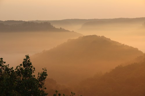 A serene landscape of rolling hills shrouded in mist during sunrise, with warm golden hues illuminating the scene.