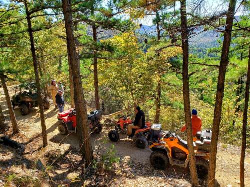 Four people on ATVs in a wooded area, surrounded by trees and hills, enjoying a sunny outdoor adventure.