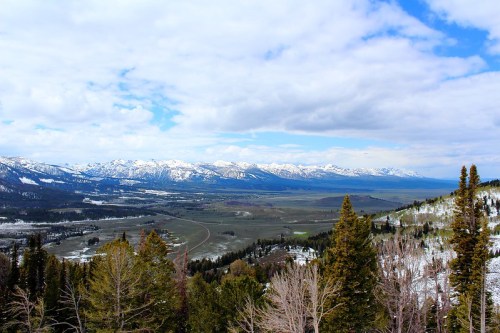 A panoramic view of snow-capped mountains and a lush valley under a partly cloudy sky. Pine trees in the foreground.
