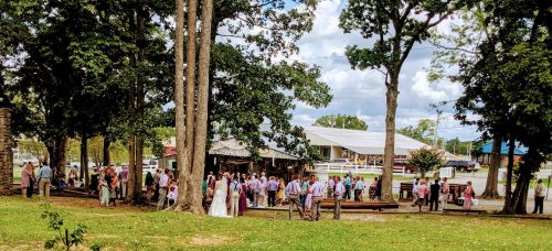 A wedding gathering outdoors with guests in formal attire, surrounded by trees and a rustic venue in the background.