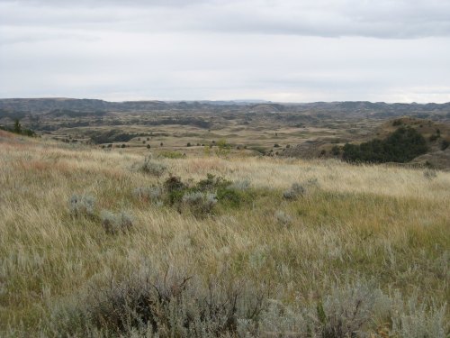 A vast, open landscape with rolling hills, grassy plains, and scattered shrubs under a cloudy sky.
