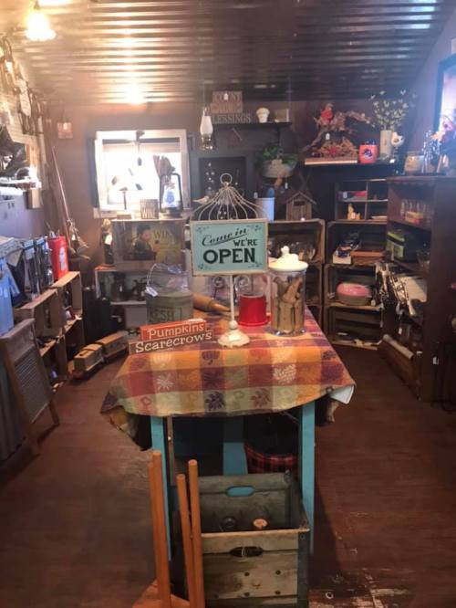 Cozy shop interior with a colorful table, shelves filled with decor, and a sign that says "Come in, we're open."
