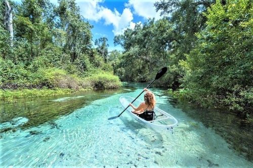 A person paddles a clear kayak through a serene, shallow river surrounded by lush greenery and blue skies.