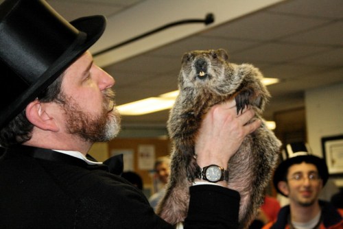 A man in a top hat holds a groundhog, surrounded by a crowd in a room.