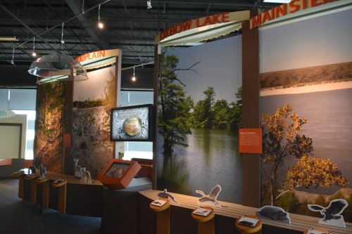 Exhibit showcasing Oxbow Lake with informative displays and images of local wildlife and habitats.