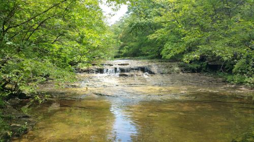 A serene stream flows over rocky terrain, surrounded by lush green trees and foliage under a bright sky.