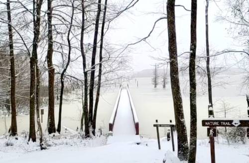 A snowy landscape with a flooded dock extending into a misty lake, surrounded by bare trees and nature trail signs.