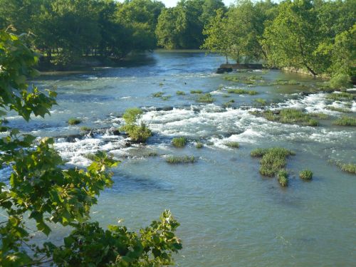 A serene river flows through a lush green landscape, with small rocks and patches of grass visible in the water.