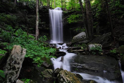 A serene waterfall cascades over rocks, surrounded by lush green trees and foliage in a tranquil forest setting.