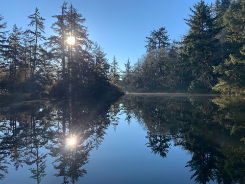 A serene landscape featuring a calm lake reflecting trees and the sun, surrounded by misty morning light.