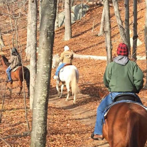 Three riders on horseback navigate a wooded trail covered in autumn leaves.