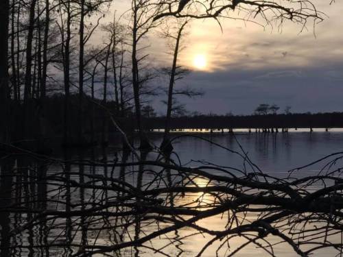 Sunset over a calm lake, with silhouetted trees and reflections on the water's surface.