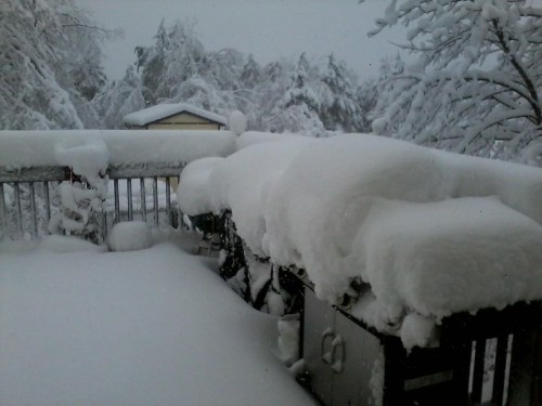 A snowy scene showing a deck covered in thick layers of snow, with snow-laden trees in the background.