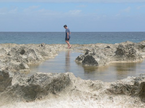 A person walks on rocky shorelines with pools of water, overlooking the ocean under a clear blue sky.