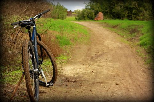 A mountain bike rests on a dirt path surrounded by green grass and shrubs, leading into a natural landscape.