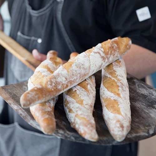 A baker holds a wooden paddle with freshly baked baguettes, dusted with flour, ready to be served.