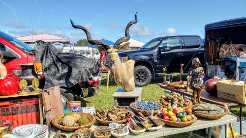 A vibrant flea market scene featuring a mounted deer head, vintage items, and colorful fruits on display.