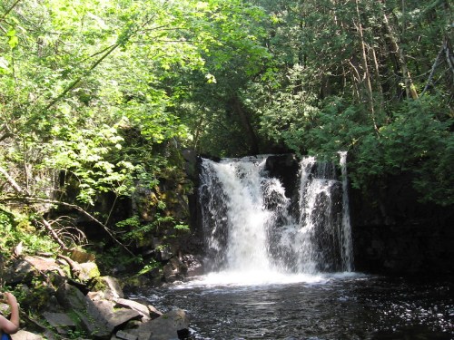 A serene waterfall cascades into a tranquil pool, surrounded by lush green trees and foliage.