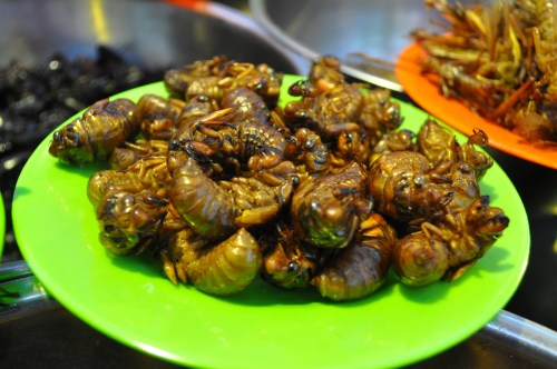 A green plate filled with cooked insects, likely cicadas, displayed at a market.
