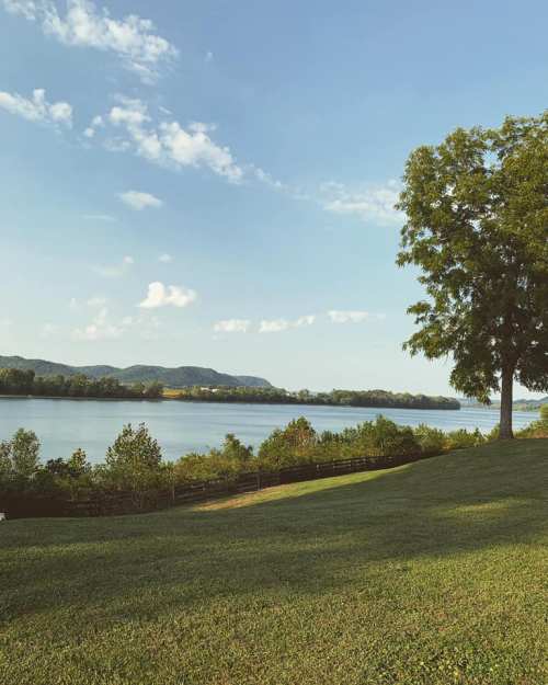 A serene riverside view with green grass, trees, and distant hills under a clear blue sky.