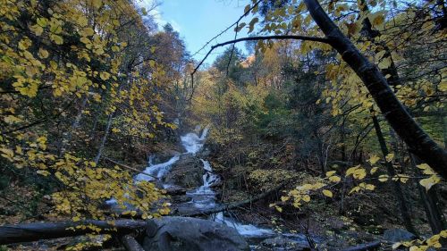 A serene waterfall cascades through a forest of autumn leaves, surrounded by trees and rocky terrain.