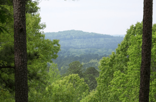 A scenic view of lush green trees and rolling hills under a cloudy sky.
