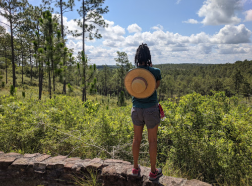 A person with a straw hat stands on a stone wall, overlooking a lush green landscape under a partly cloudy sky.