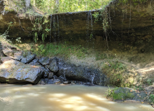 A serene scene of a small waterfall cascading over rocks into a calm, muddy pool surrounded by lush greenery.